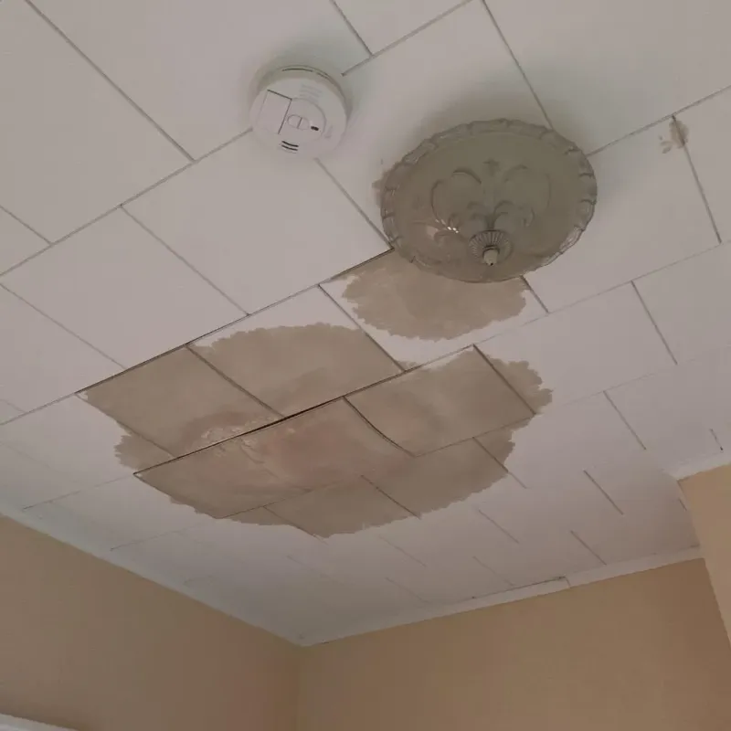 Ceiling Water Damage Repair in Bartlett, NE