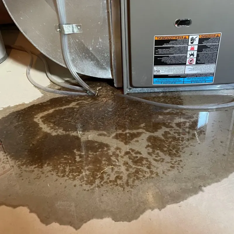 Pipe Burst and Leak Restoration in Bartlett, NE