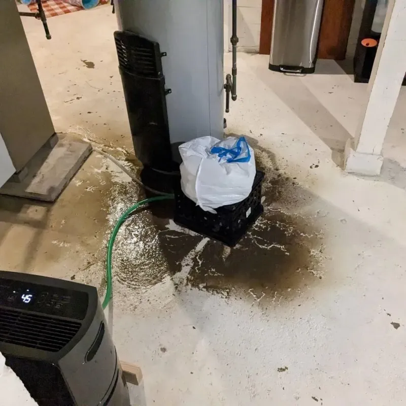 Sewage Backup Cleanup Service in Bartlett, NE